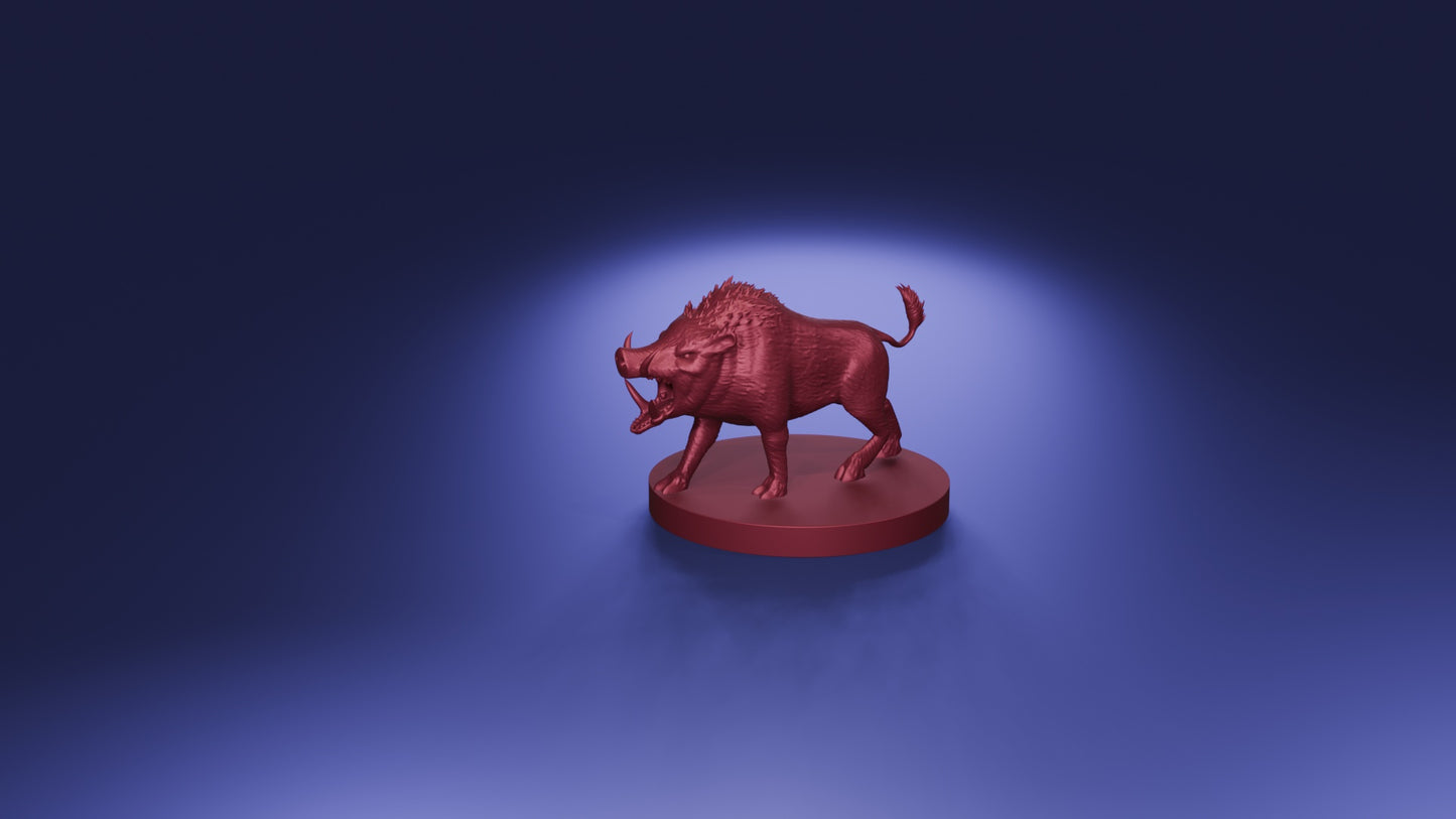 Boar