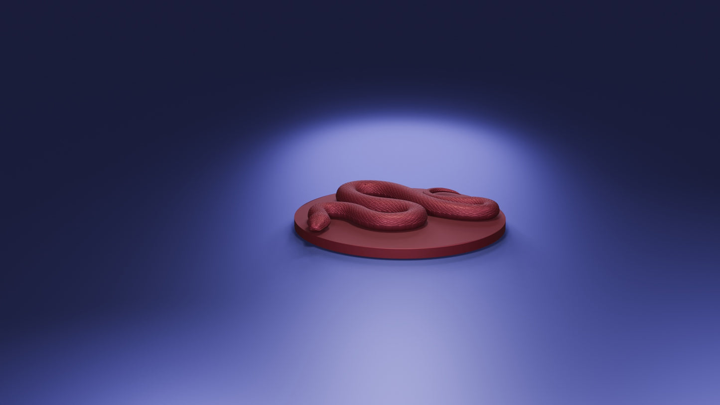Constrictor Snake