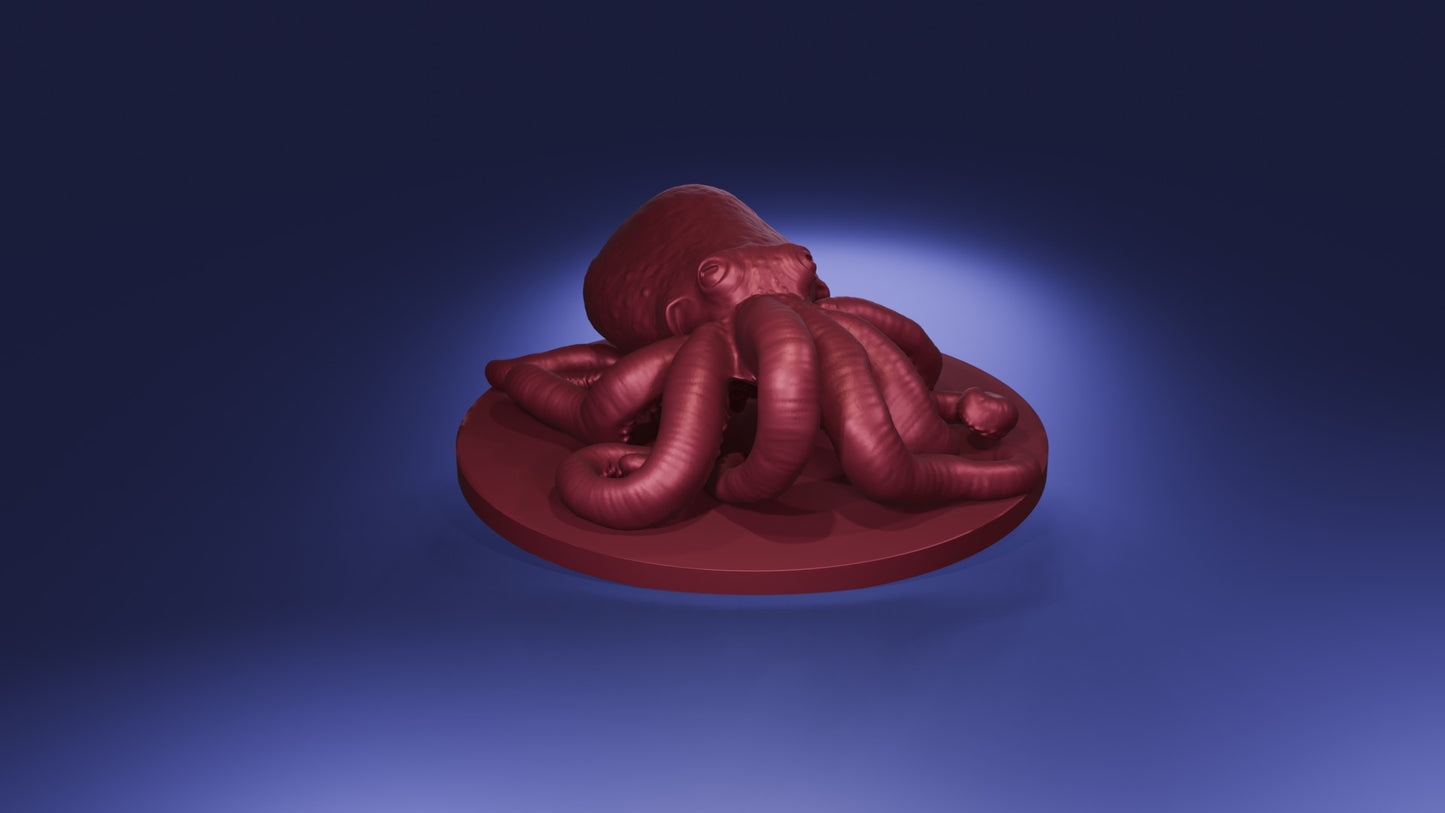 Giant Octopus