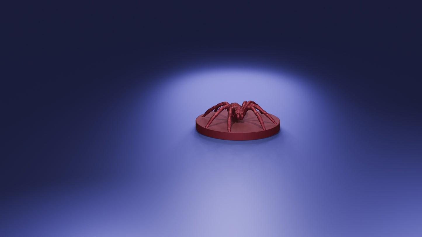 Giant Wolf Spider