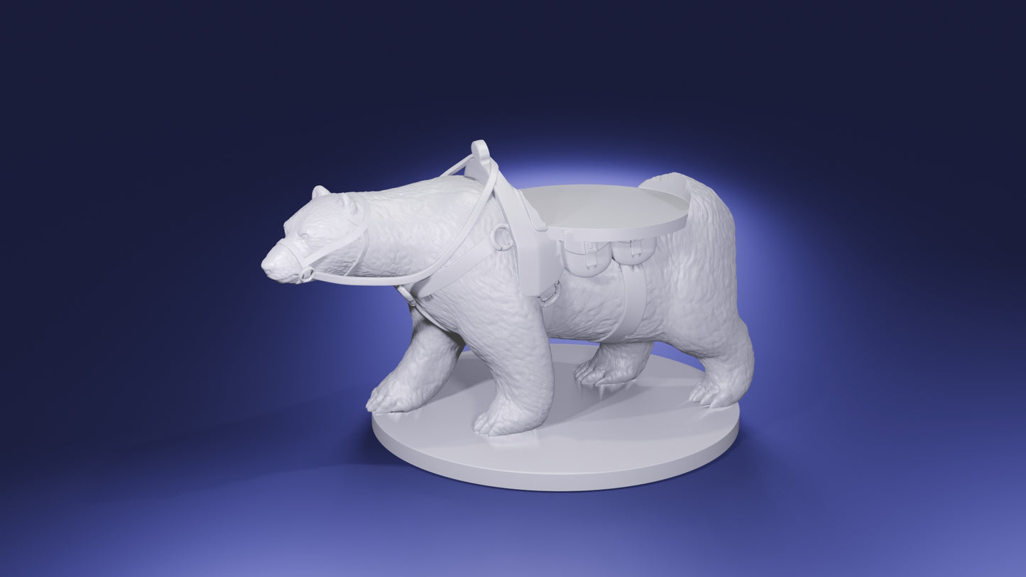 Polar Bear