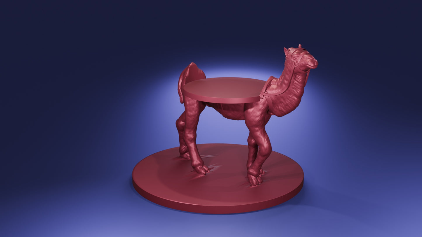 Camel