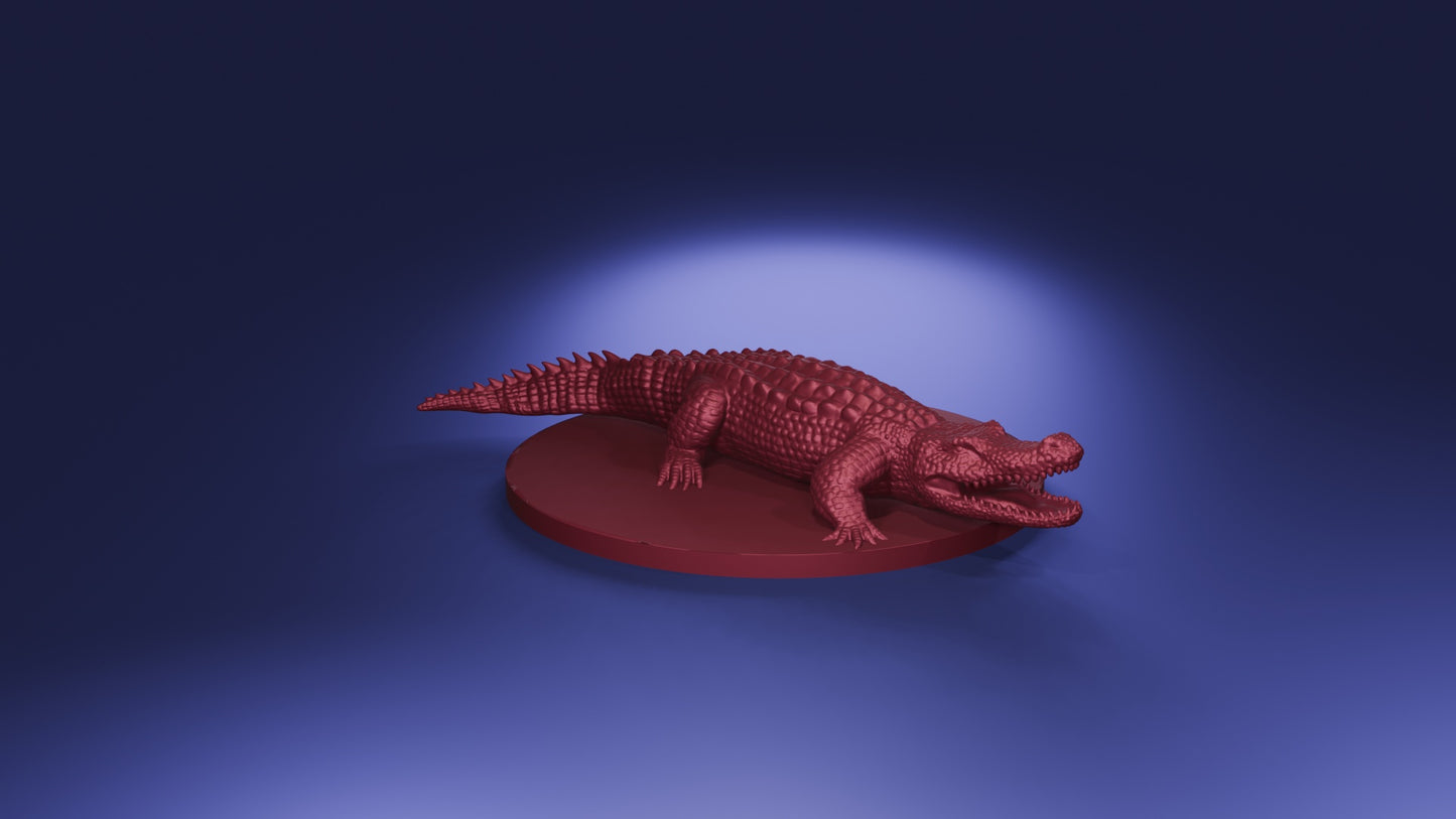 Crocodile