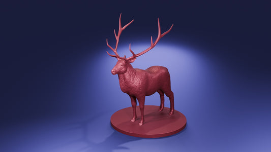 Elk