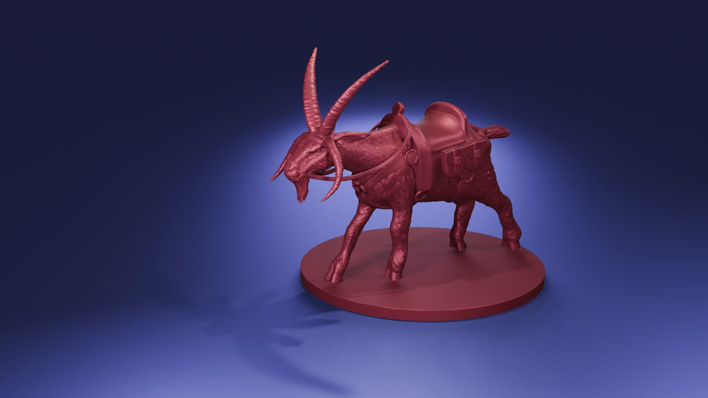 Giant Goat
