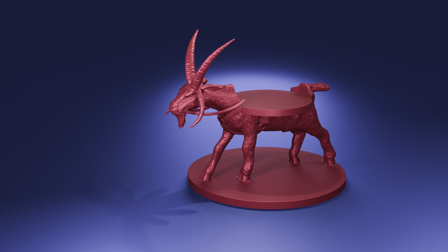 Giant Goat