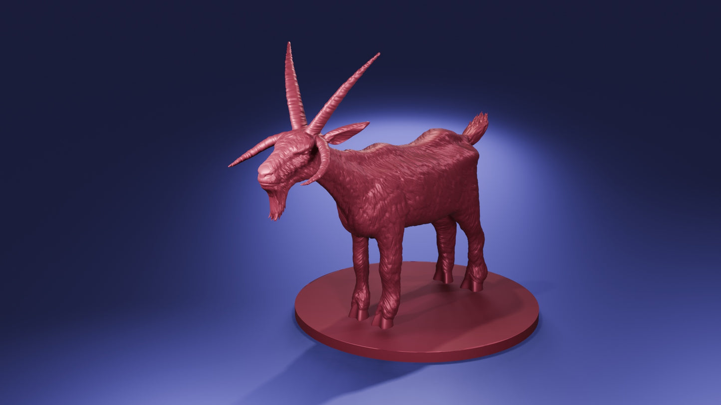 Giant Goat