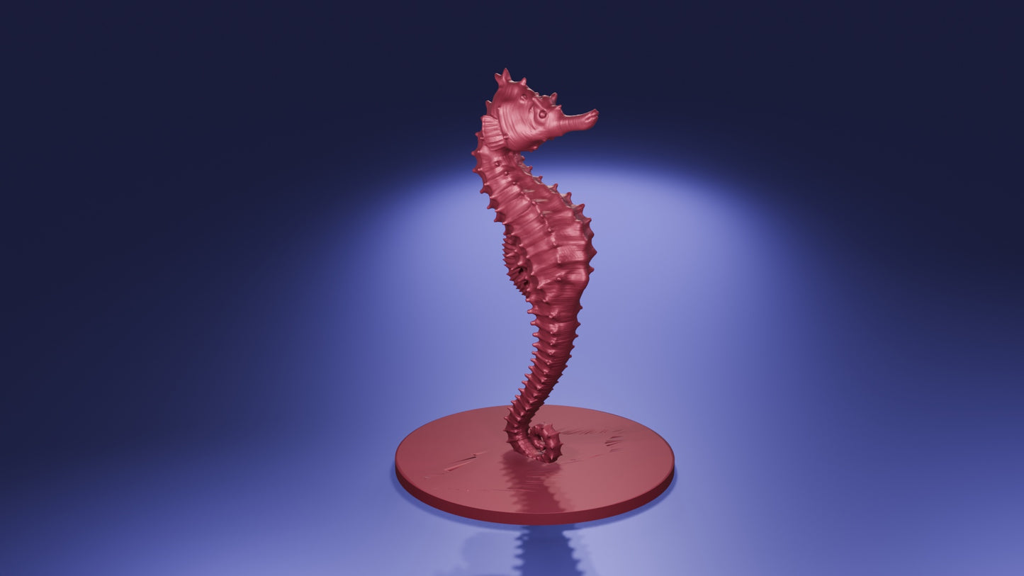 Giant Seahorse