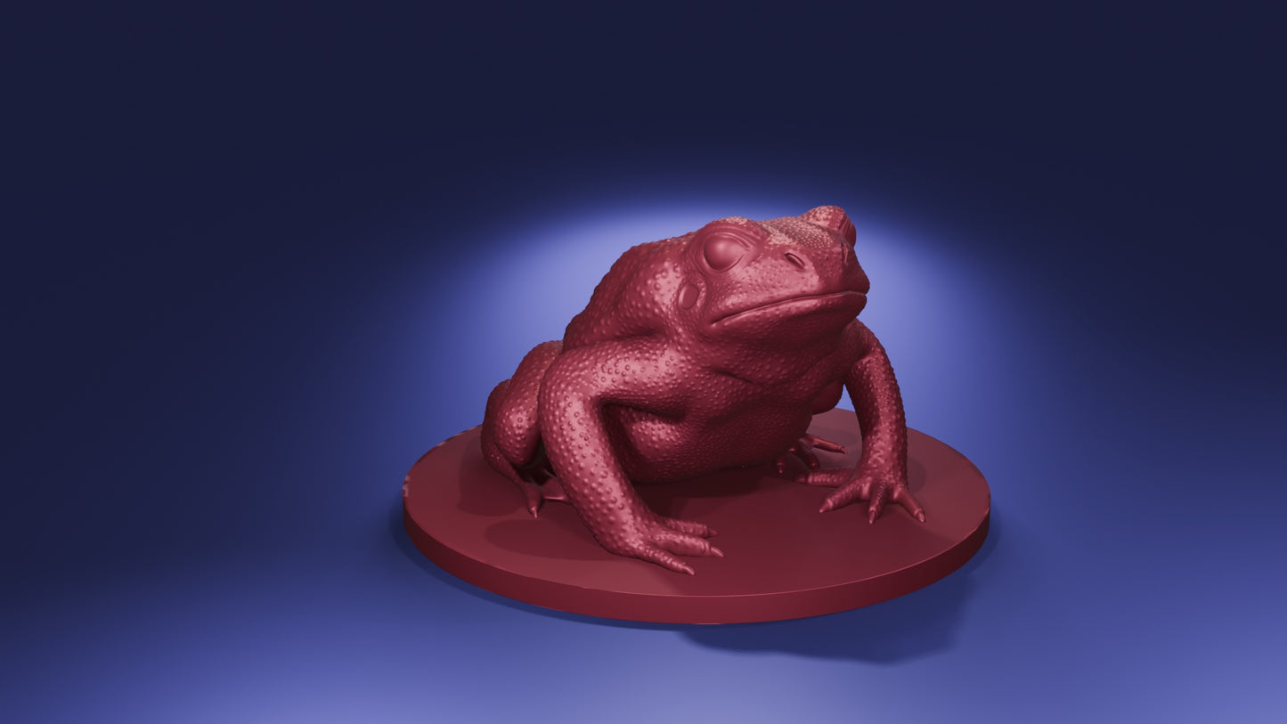 Giant Toad