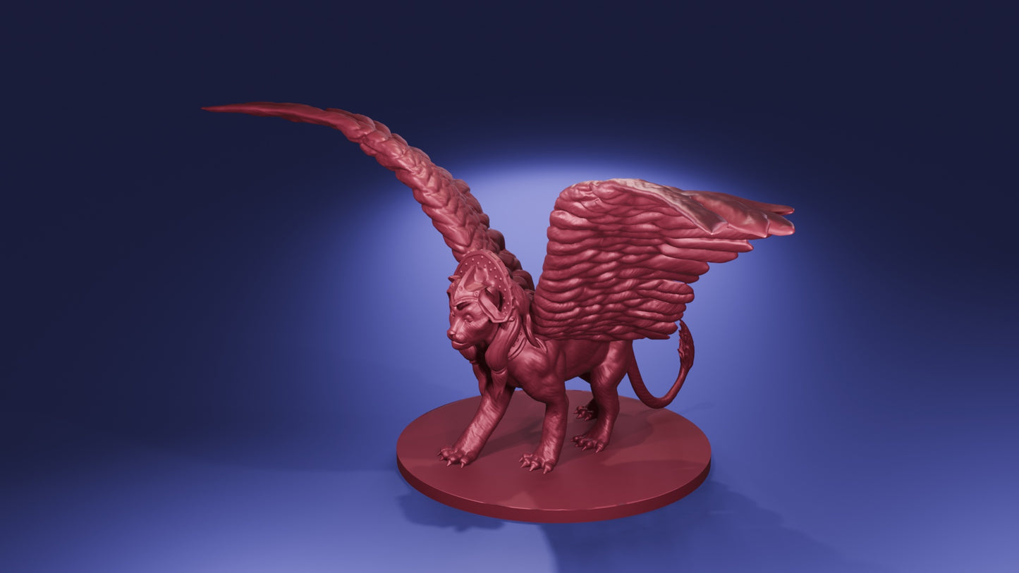 Gynosphinx