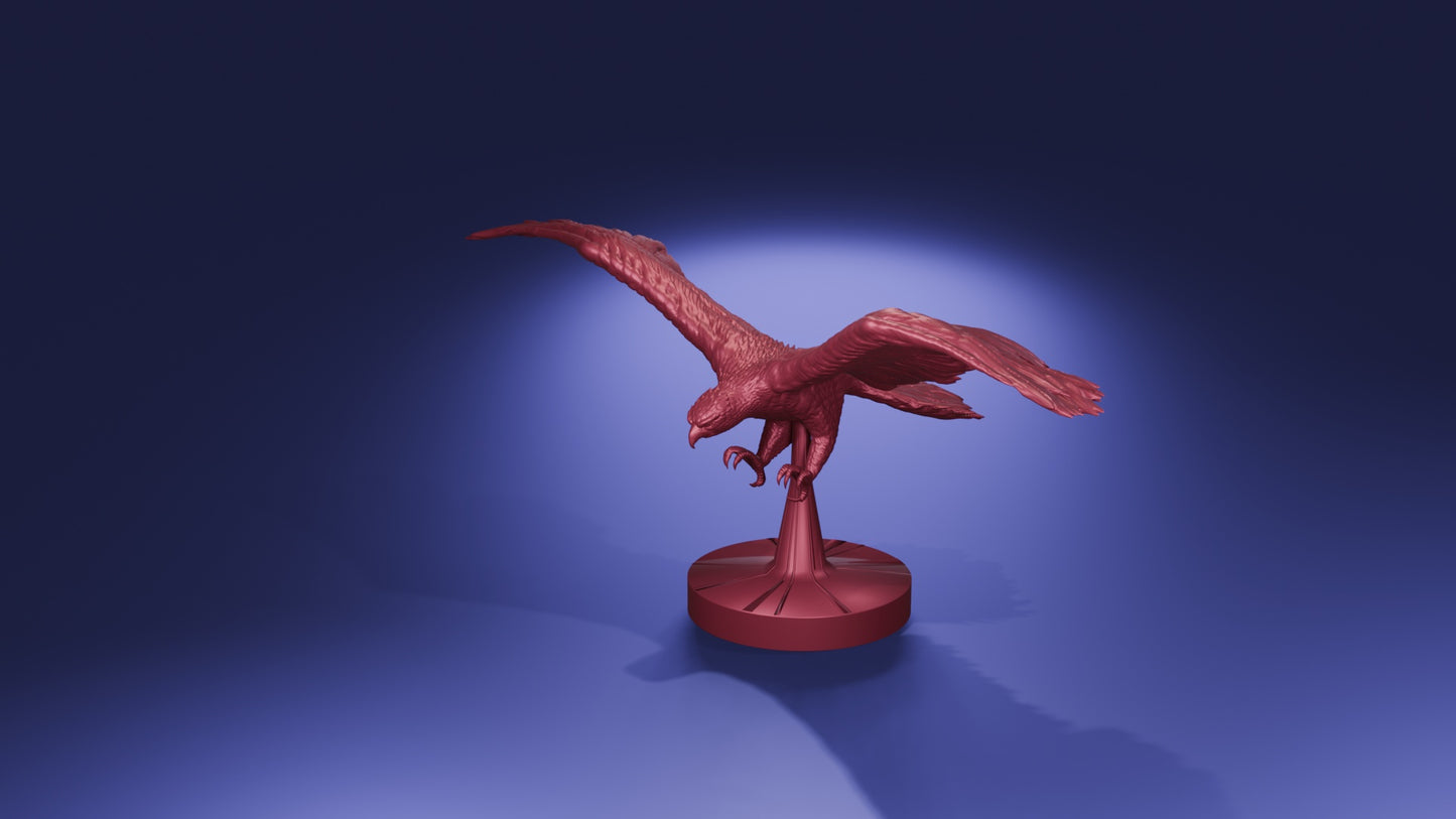Hawk