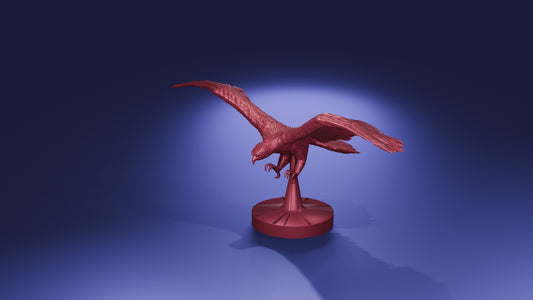 Hawk