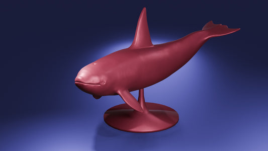 Killer Whale
