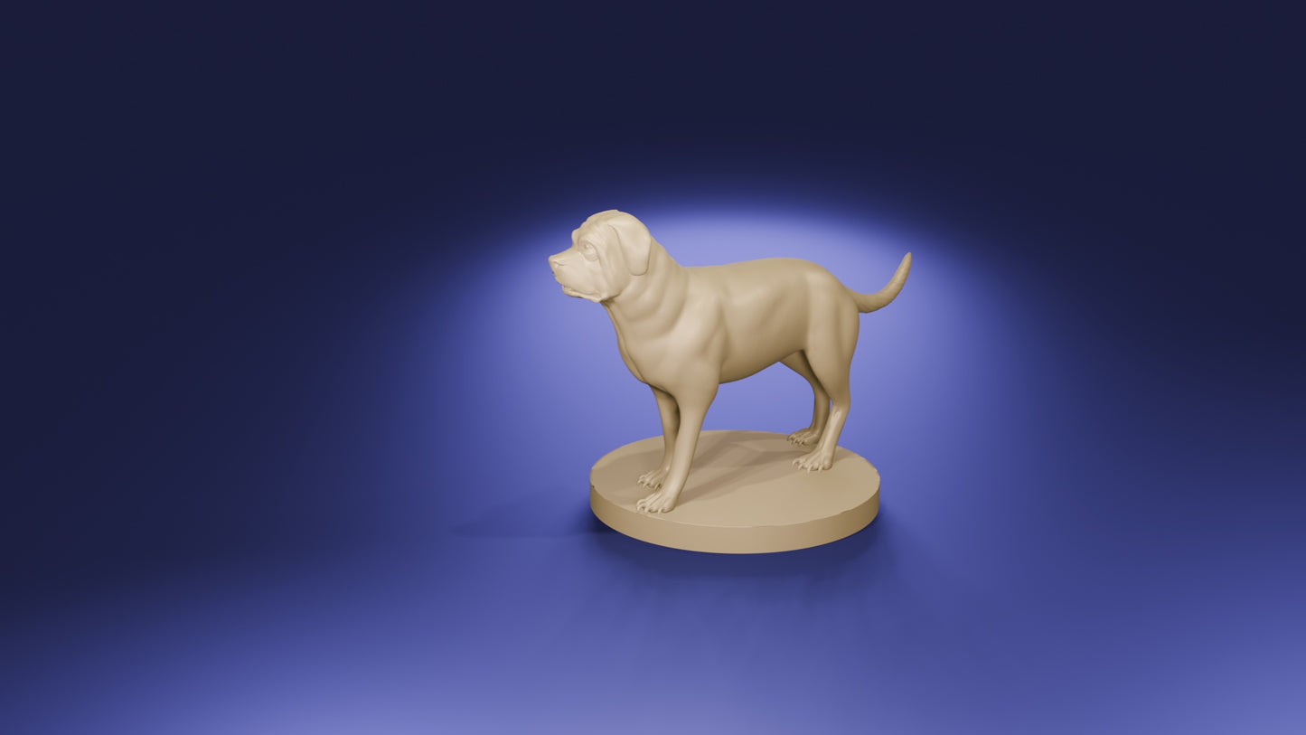 Mastiff