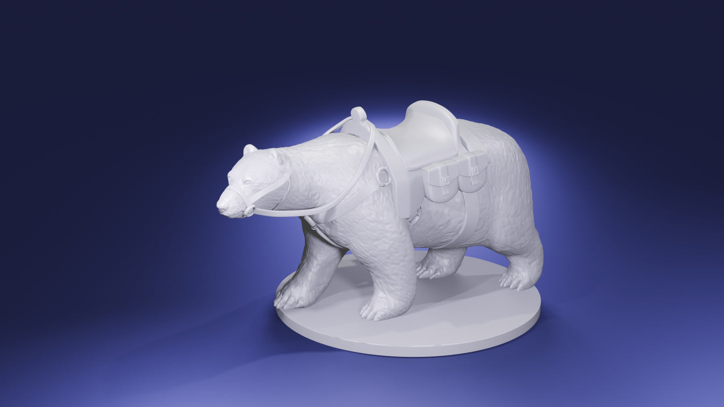 Polar Bear