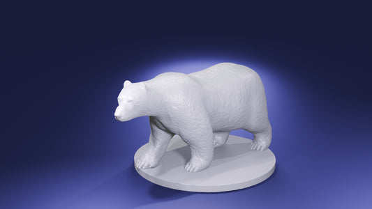 Polar Bear