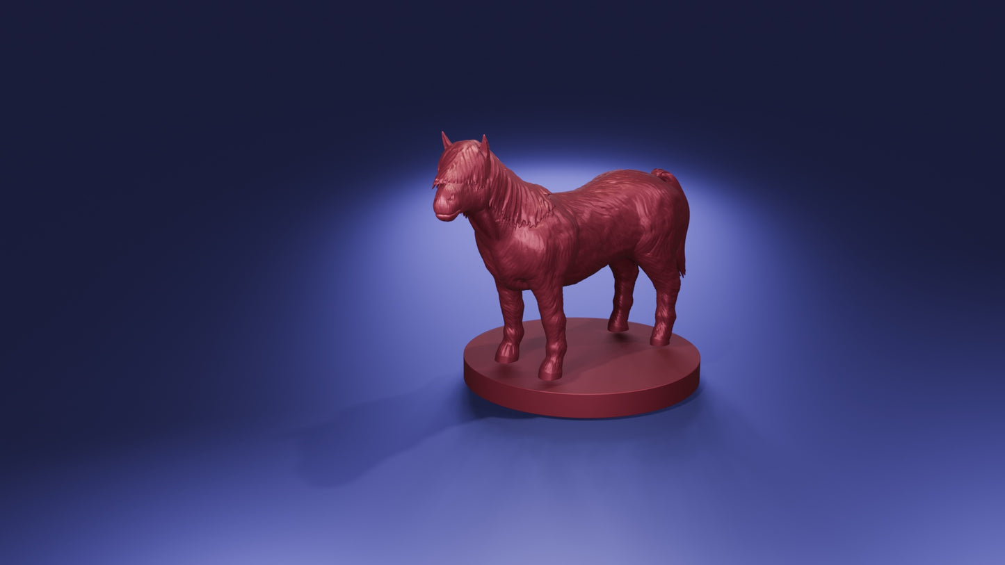 Pony
