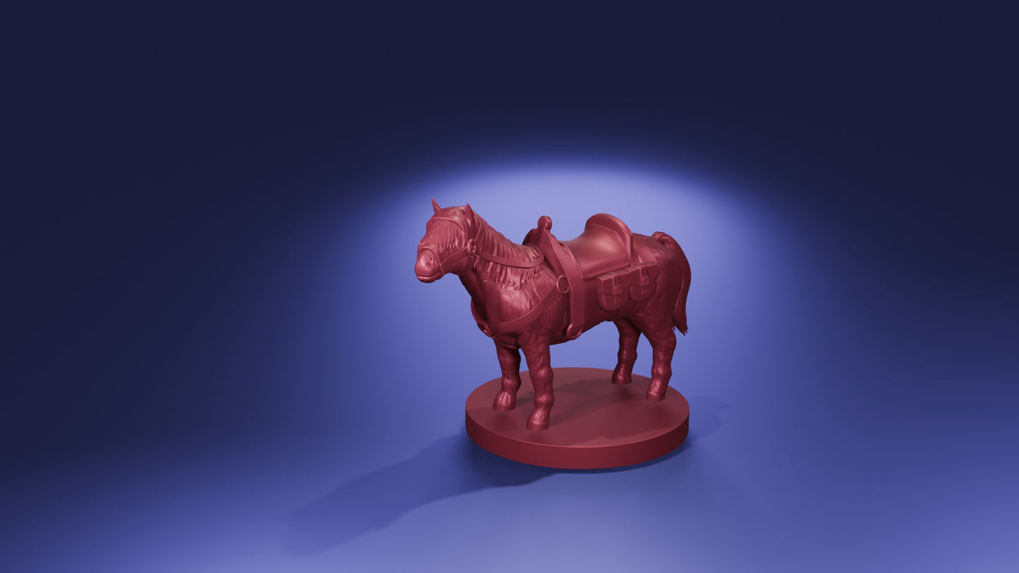 Pony