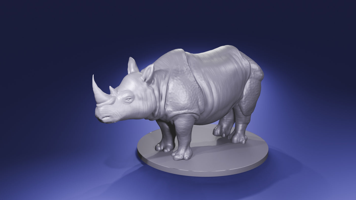 Rhinoceros