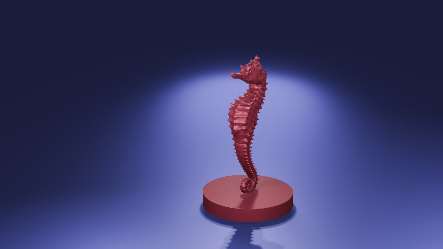Seahorse